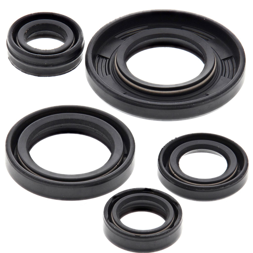 Vertex - Vertex Oil Seal Kit - 822240