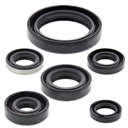 Vertex - Vertex Oil Seal Kit - 822137