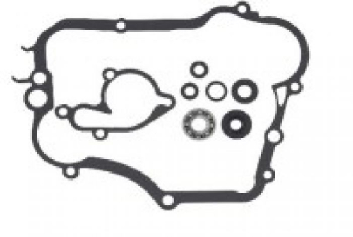 Psychic MX - Psychic MX Water Pump Repair Kit - MX-10261