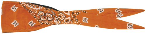 Schampa - Schampa Old School Bandana - OSB1-285 - Paisley Orange - OSFM