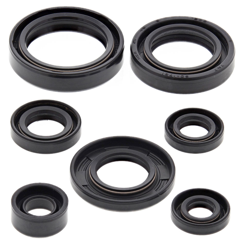 Vertex - Vertex Oil Seal Kit - 822197