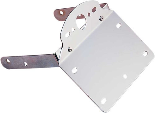 Drag Specialties - Drag Specialties License Plate/Taillight Bracket - 72493H9