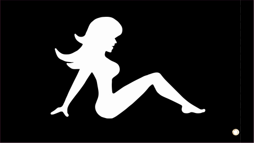 Dragonfire Racing - Dragonfire Racing Whip Flag - Double-Sided - Trucker Girl - 04-0120