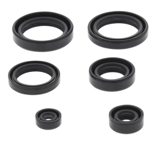 QuadBoss - QuadBoss Oil Seal Set - 822310QB