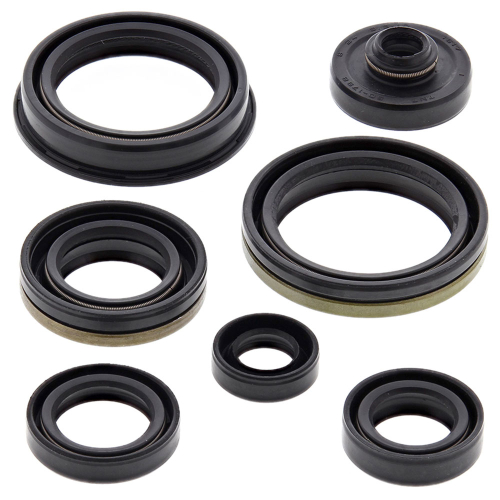 Vertex - Vertex Oil Seal Kit - 822266