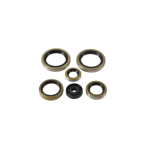 Vertex - Vertex Oil Seal Kit - 822370