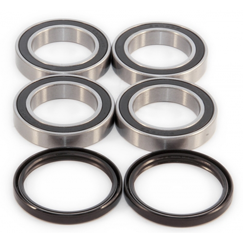 EPI - EPI Wheel Bearing Kit - WE301036