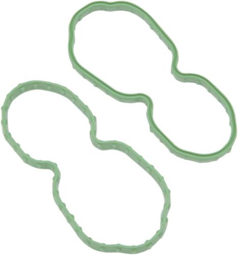 Drag Specialties - Drag Specialties Seal for Fuel Pump Door - I01-0144