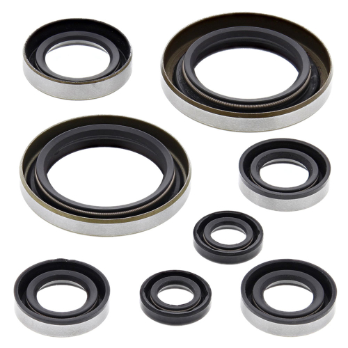 Vertex - Vertex Oil Seal Kit - 822274