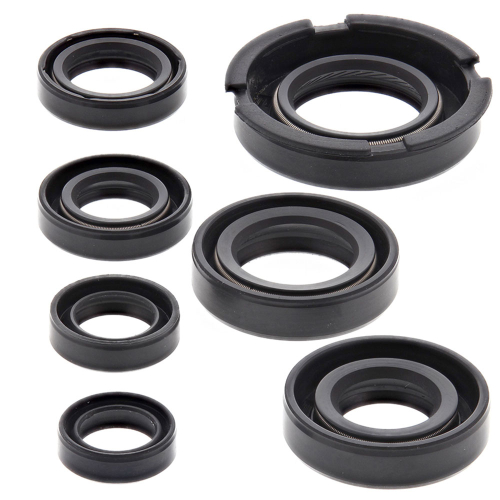 Vertex - Vertex Oil Seal Kit - 822219