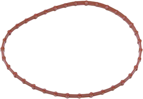 HardDrive - HardDrive Fuel Pump Door Gasket - 022253