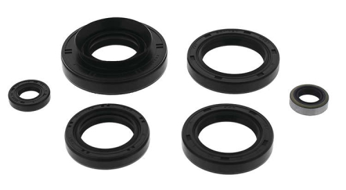 QuadBoss - QuadBoss Oil Seal Set - 822366QB