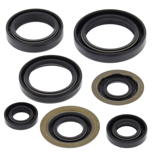 Vertex - Vertex Oil Seal Kit - 822260