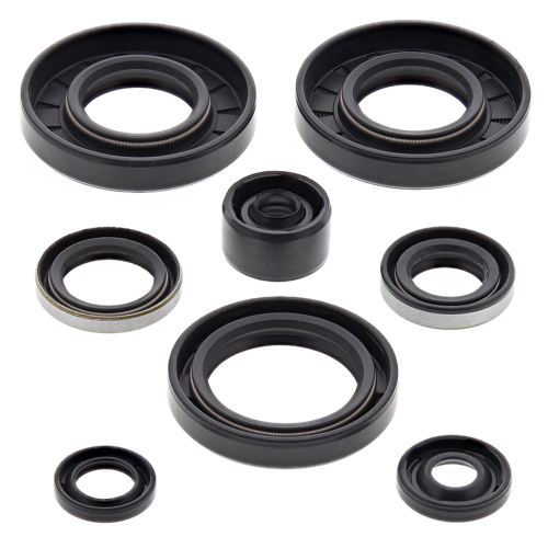 Vertex - Vertex Oil Seal Kit - 822135
