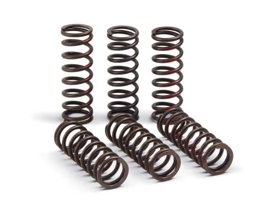 Pro Circuit - Pro Circuit Clutch Springs - CSH21450-CS
