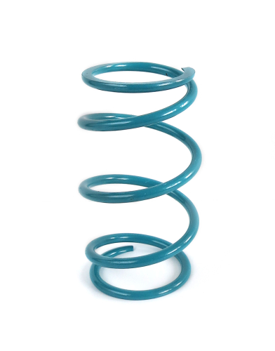EPI - EPI Clutch Spring Kit - PEBS30