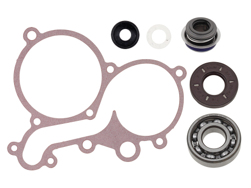 SP1 - SP1 Water Pump Repair Kit - SM-10104