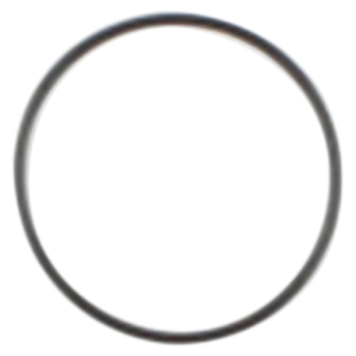 Cometic Gasket - Cometic Gasket Starter O-Ring - C9433F1