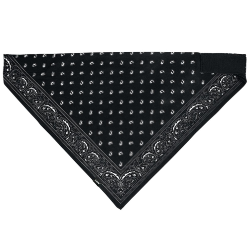 Zan Headgear - Zan Headgear Sportflex Series Bandana - BL101 - Black Paisley - OSFM