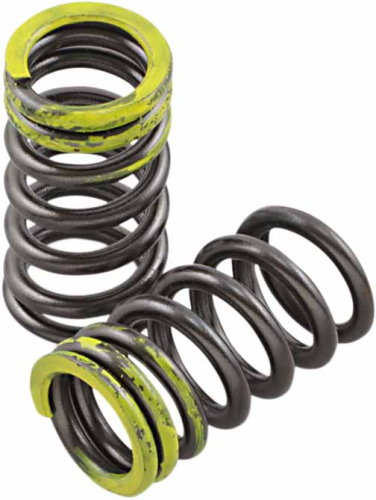 Xceldyne - Xceldyne Intake Valve Springs - PSIMX2104