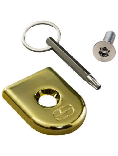 Saddlemen - Saddlemen Security Seat Screw - Gold - 8911GO