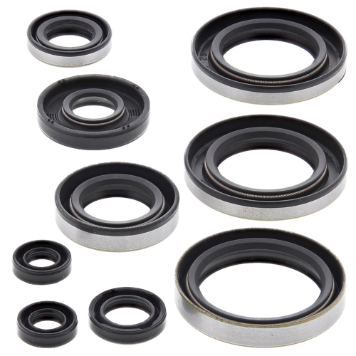 Vertex - Vertex Oil Seal Kit - 822296