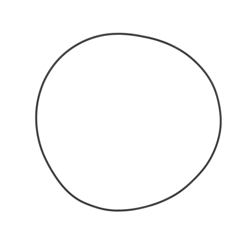 Vertex - Vertex Clutch Outer Gasket - 817785