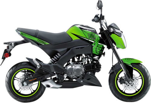 DCOR - DCOR Z-125 Pro Graphic - Team Green - 20-20-337