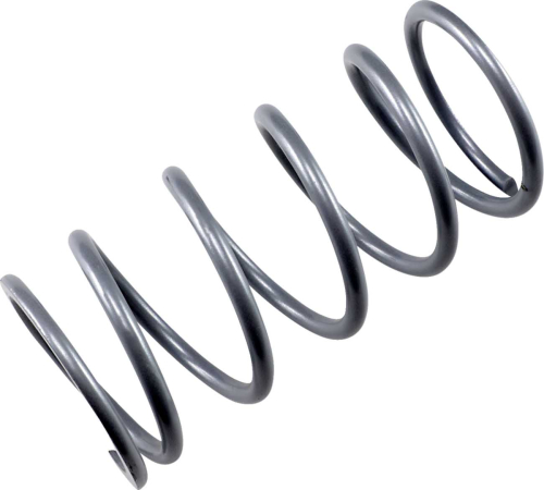 EPI - EPI Secondary Driven Clutch Springs - Silver - ACD5