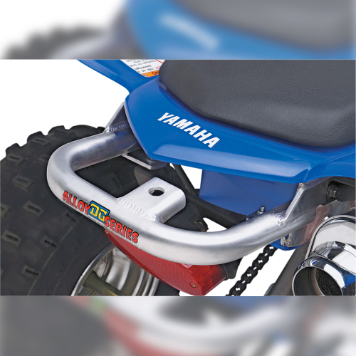 DG Performance - DG Performance Alloy Grab Rail - Aluminum - 59-4250