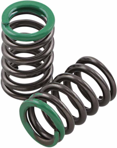 Xceldyne - Xceldyne Intake Valve Springs - PSIMX2402