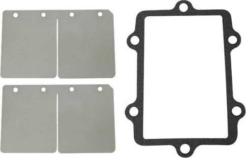 SP1 - SP1 Reed Valve Rebuild Kit - SM-07152C