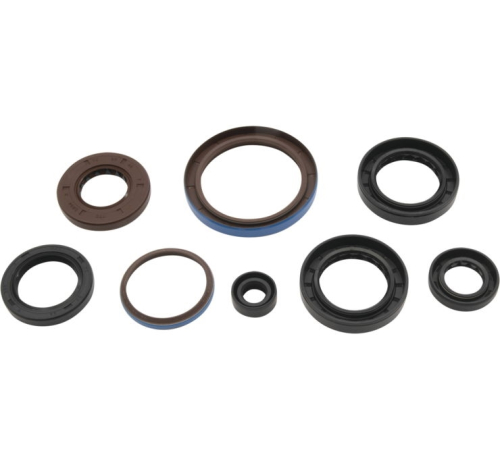 QuadBoss - QuadBoss Oil Seal Set - 822381QB