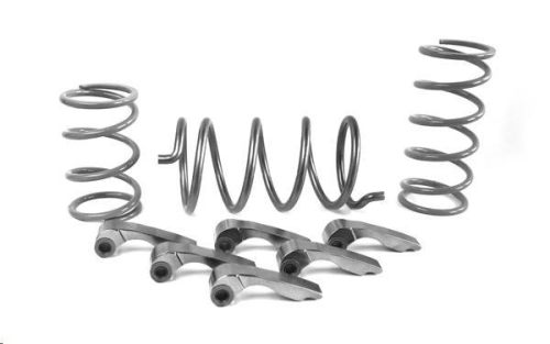 EPI - EPI Rock Crawler Clutch Kit - Elevation: 0-3000ft. - WE437587