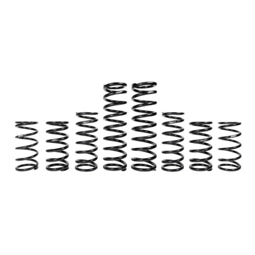 Zbroz Racing - Zbroz Racing Dual Rate Spring Kit - K30-PL1033-0