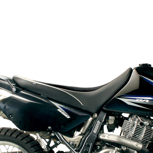 Sargent - Sargent World Sport Performance Seat with Black Accent - Low - WS-601-19