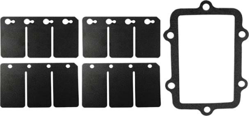 SP1 - SP1 Reed Valve Rebuild Kit - SM-07161C