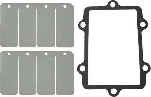 SP1 - SP1 Reed Valve Rebuild Kit - SM-07149C