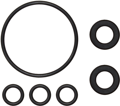 SP1 - SP1 Fuel Injector Seal Kit - SM-07393