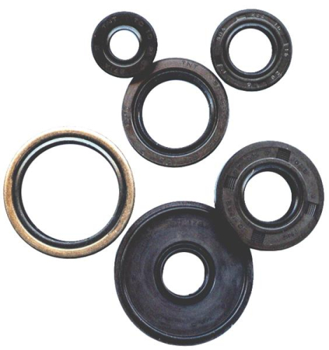 Vertex - Vertex Oil Seal Kit - 822156