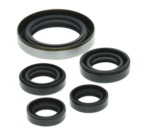 QuadBoss - QuadBoss Oil Seal Set - 822249QB