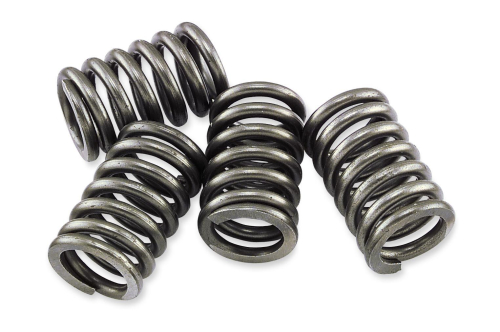 EBC - EBC CSK Clutch Spring Kit - CSK146