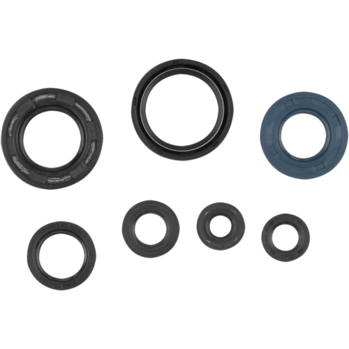 Cometic Gasket - Cometic Gasket Oil Seal Kit - C7093OS