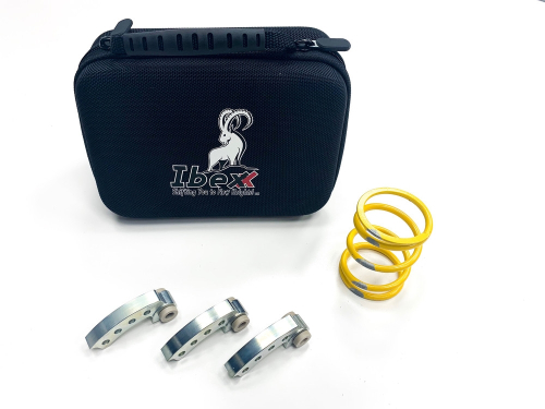 Ibexx - Ibexx Stage 1 Clutch Kit - 21747-1