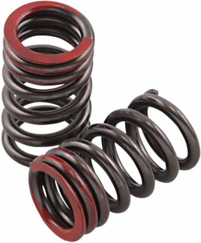 Xceldyne - Xceldyne Exhaust Valve Springs - PSIMX2401