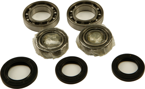 All Balls - All Balls Differential Bearing and Seal Kit - 25-2015