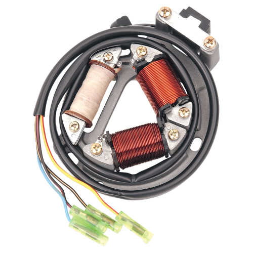 Ricks Motorsport Electric - Ricks Motorsport Electric Stator - 21-802H