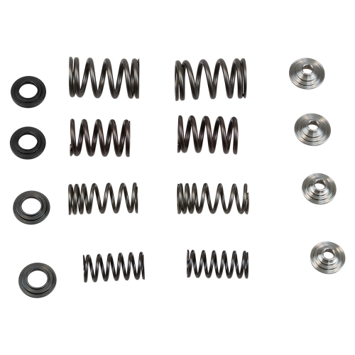 Kibblewhite Precision - Kibblewhite Precision Valve Spring Kit - 30-31250
