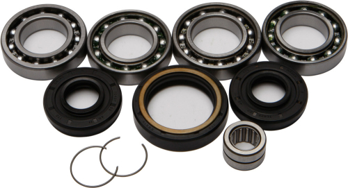 All Balls - All Balls Differential Bearing and Seal Kit - 25-2078