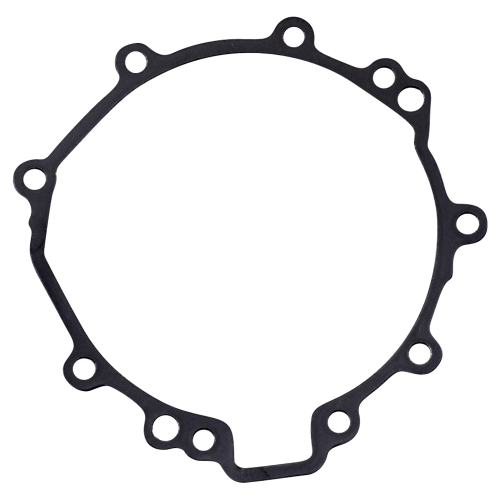 Ricks Motorsport Electric - Ricks Motorsport Electric Stator Gasket - 25-211